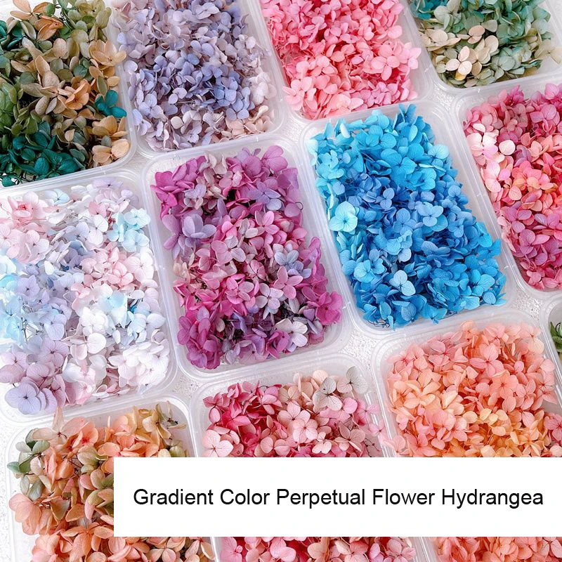 1Box echte getrocknete Blume N – Dried Flower Bulk Bewertung und Preis