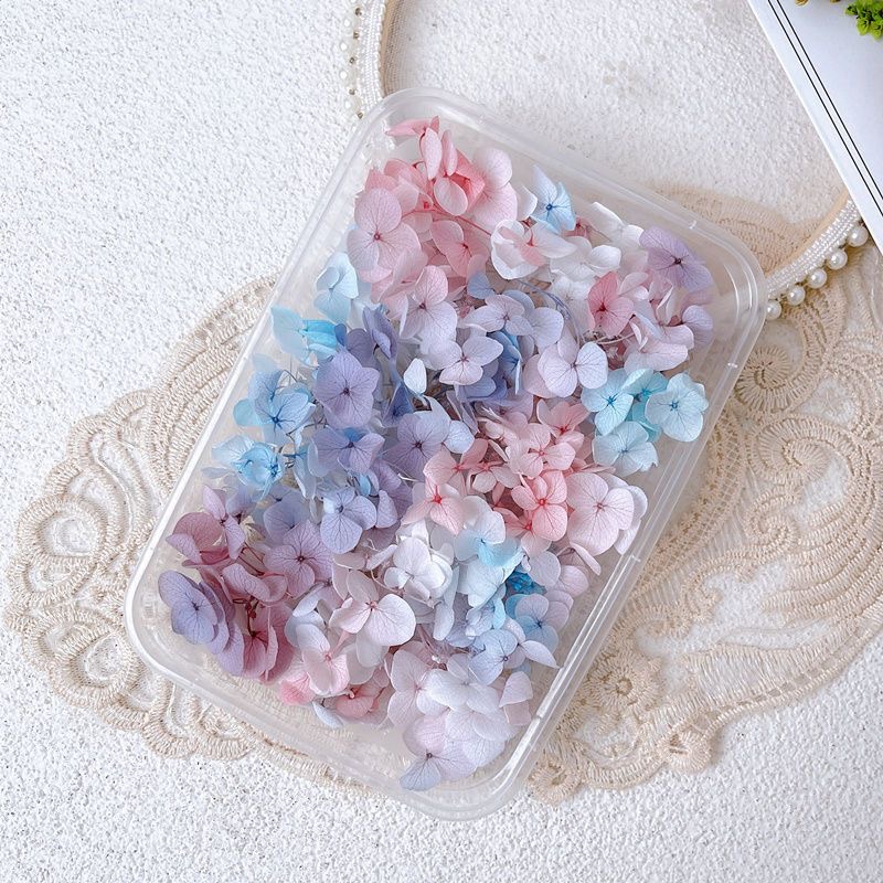 1Box echte getrocknete Blume N – Dried Flower Bulk Bewertung und Preis