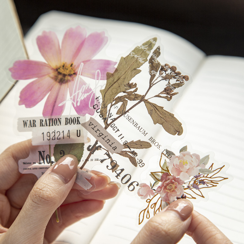 10 Stück/Packung Eckblumenhaus – Dried Flower Bulk Bewertung und Preis