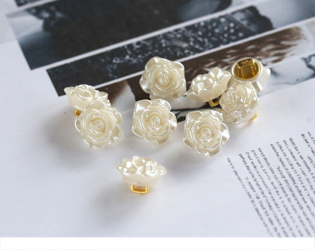 20 teile/los Größe: 12mm Mode  – Dried Flower Bulk Bewertung und Preis