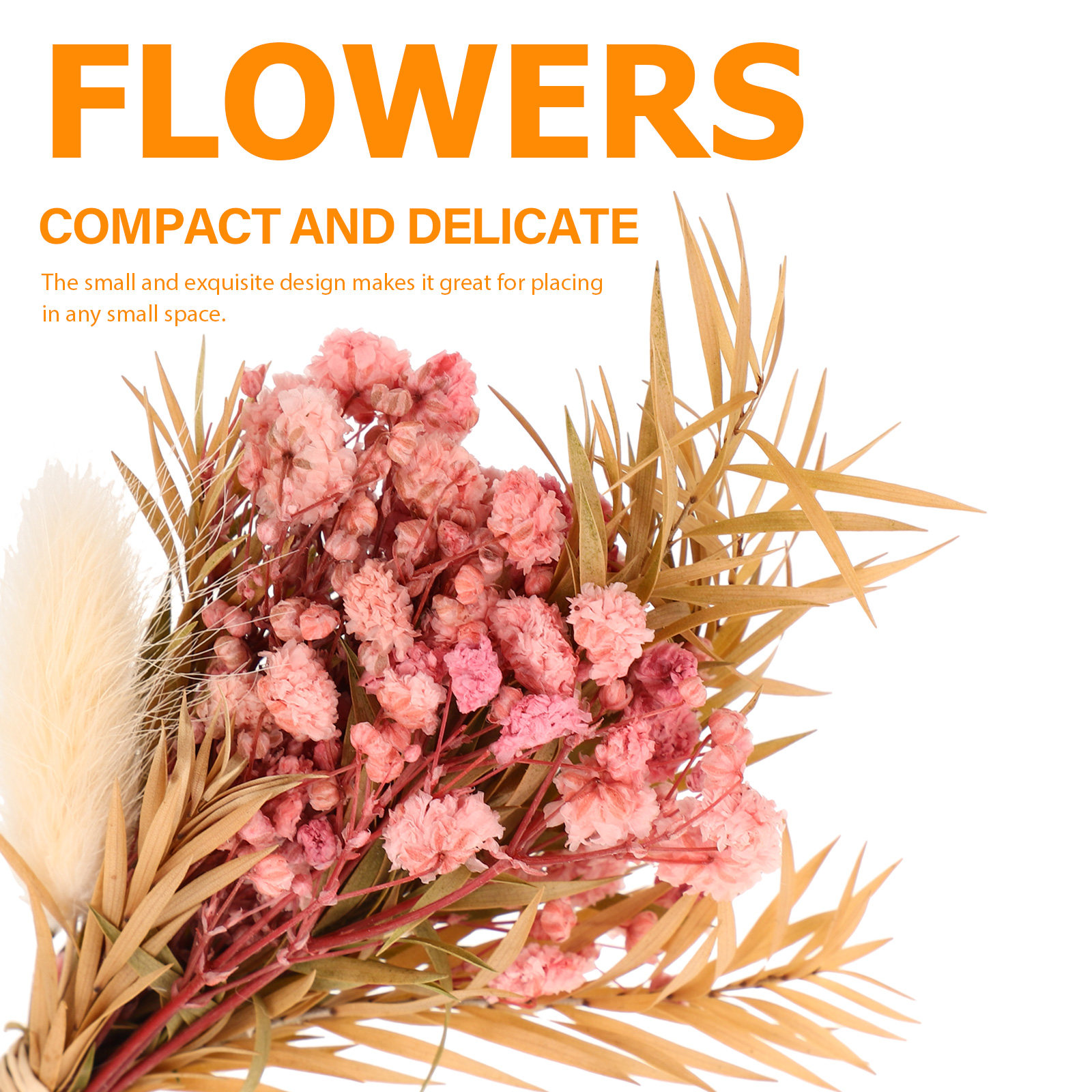 3-teiliges Mini-Trockenblumen- – Dried Flower Bulk Bewertung und Preis