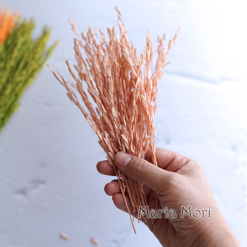 5 g/Broomcorn gefärbte getrock – Dried Flower Bulk Bewertung und Preis