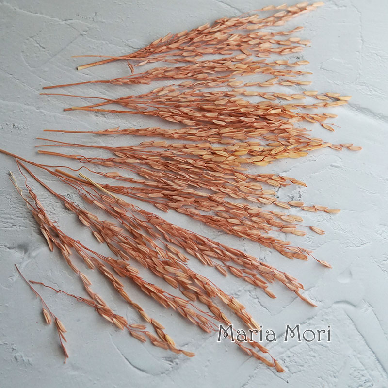 5 g/Broomcorn gefärbte getrock – Dried Flower Bulk Bewertung und Preis
