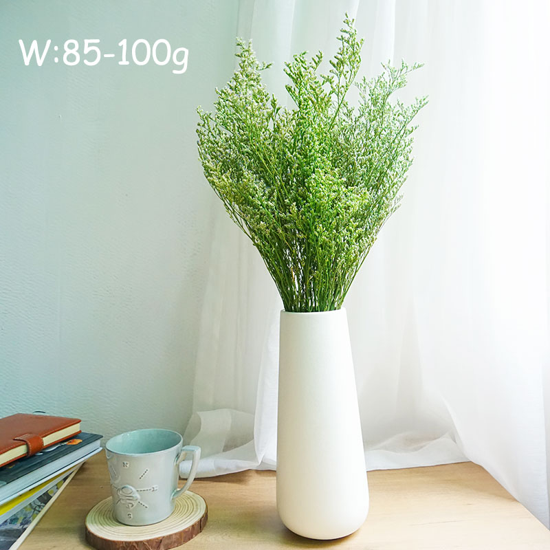 50g/Konserviertes Valentinstag – Dried Flower Bulk Bewertung und Preis