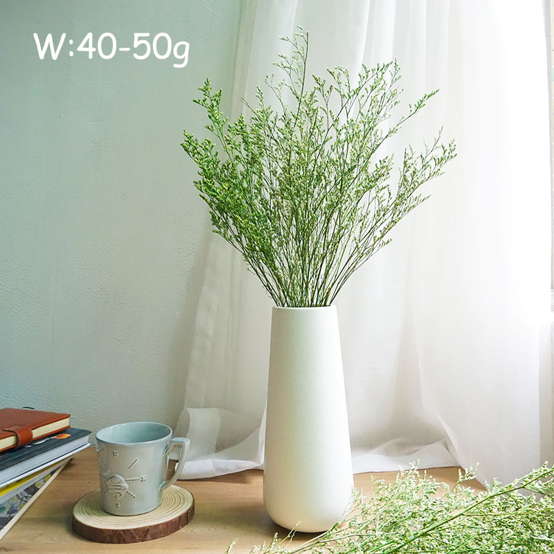 50g/Konserviertes Valentinstag – Dried Flower Bulk Bewertung und Preis