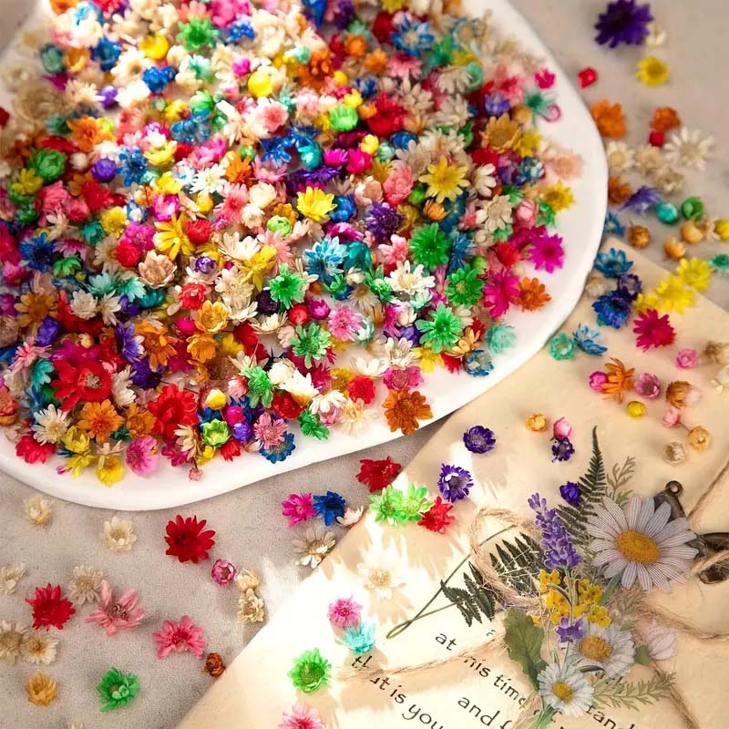 Gemischte bunte Blume zum Wach – Resin Craft Ideas Bewertung und Preis
