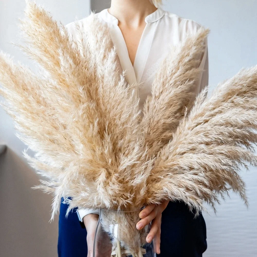 120 cm – 130 cm flauschiges gr – Dried Flower Bulk Bewertung und Preis