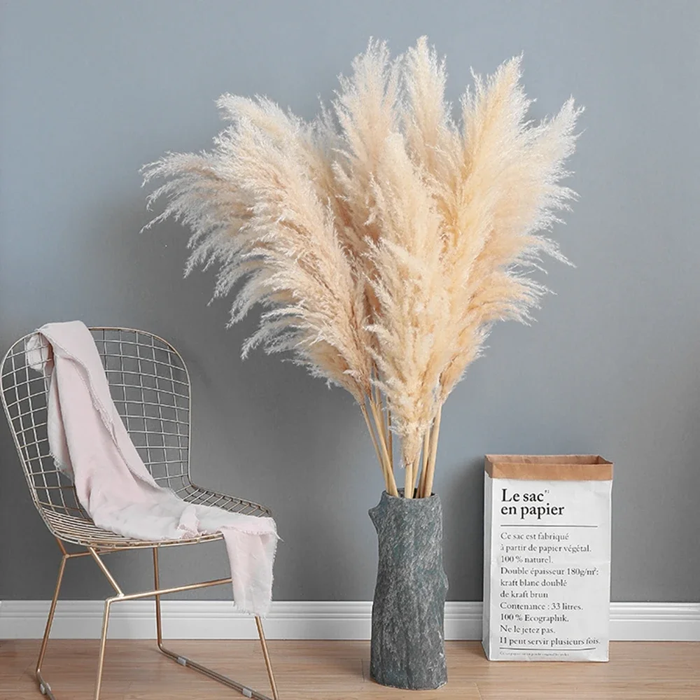 120 cm – 130 cm flauschiges gr – Dried Flower Bulk Bewertung und Preis