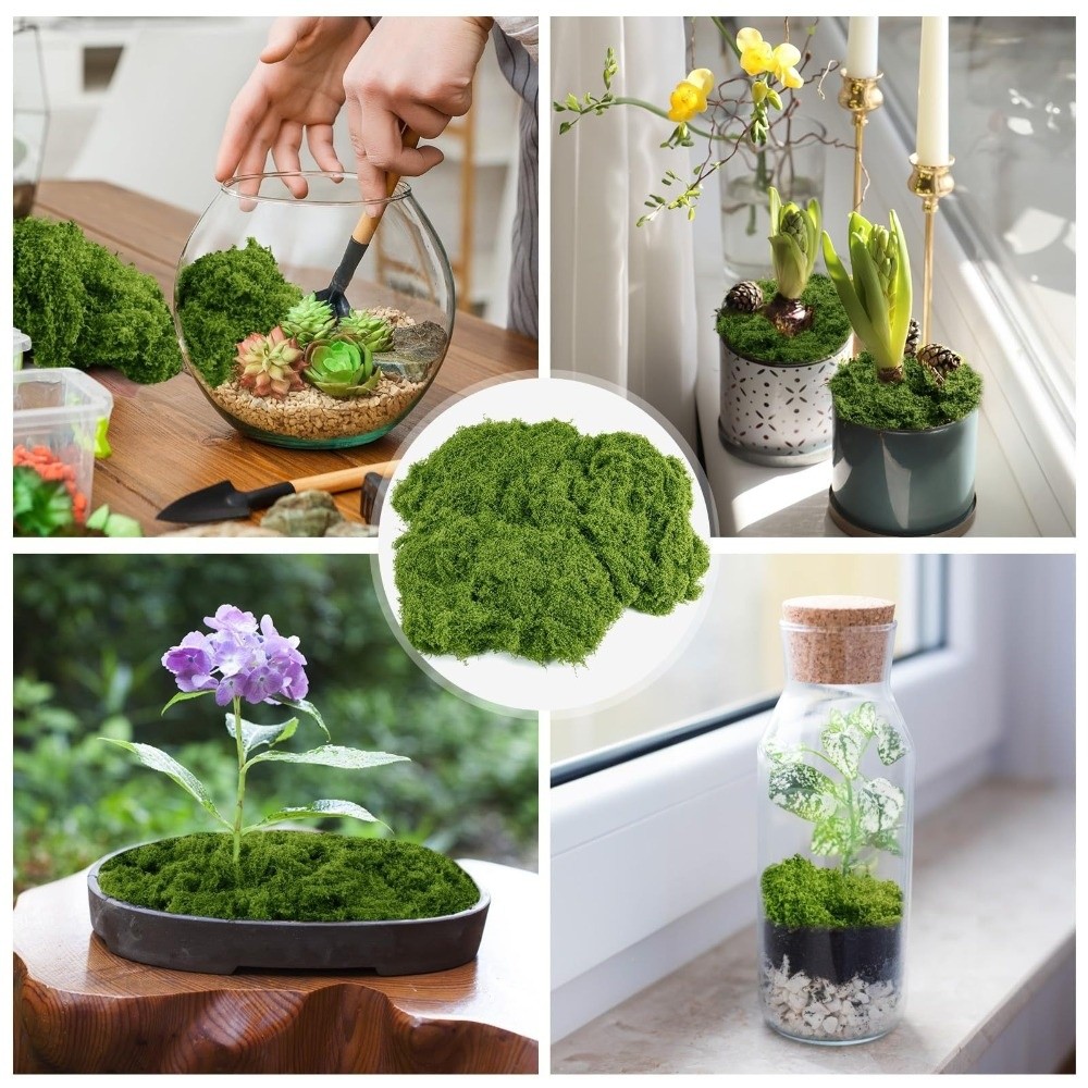 Polyester Künstliches Moos DIY – Terrarium Moss Art Bewertung und Preis