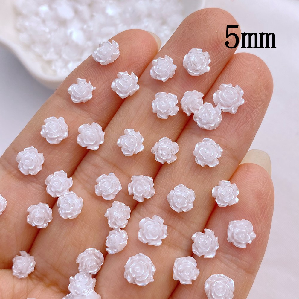 100 Stück neue süße Mini 5mm/7 – Flower Preservation Resin Bewertung und Preis