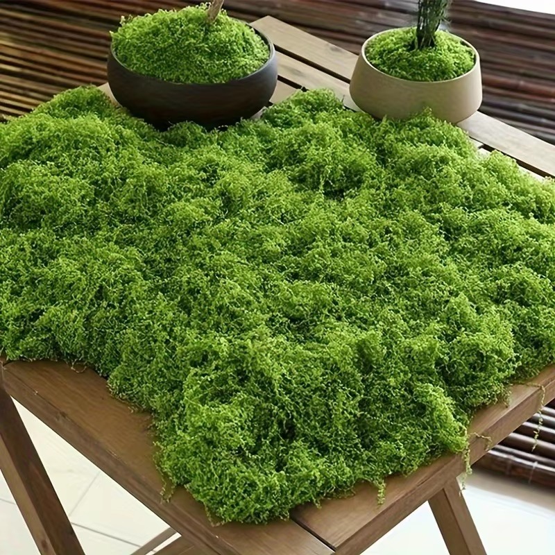 50 g grünes Kunstmoos, DIY-Han – Terrarium Moss Art Bewertung und Preis