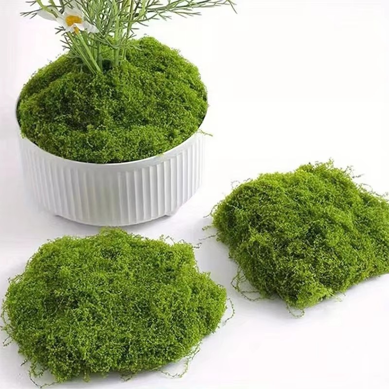 50 g grünes Kunstmoos, DIY-Han – Terrarium Moss Art Bewertung und Preis