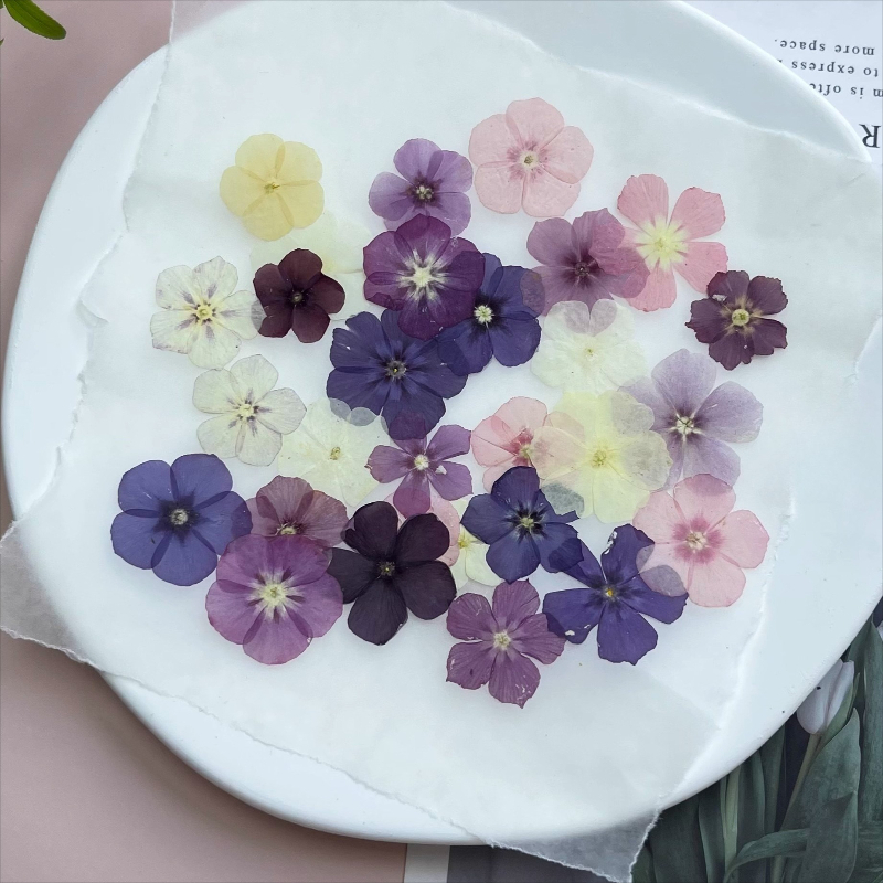 12 Stück, halbtransparente Nis – Resin Craft Ideas Bewertung und Preis
